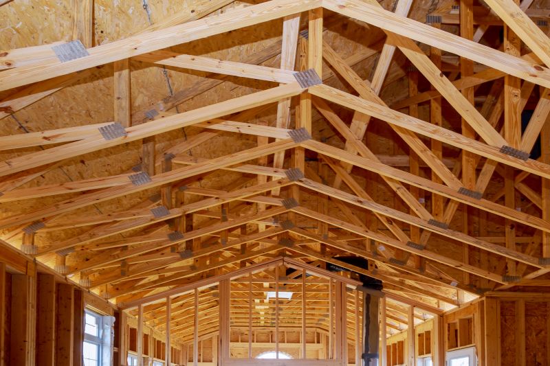 Roof Sheathing Service in Conroe, TX